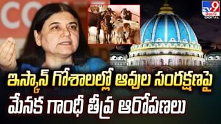 Largest Hindu Temple: 185 ఎకరాల్లో అమెరికాలోనే అతిపెద్ద హిందూ దేవాలయం..