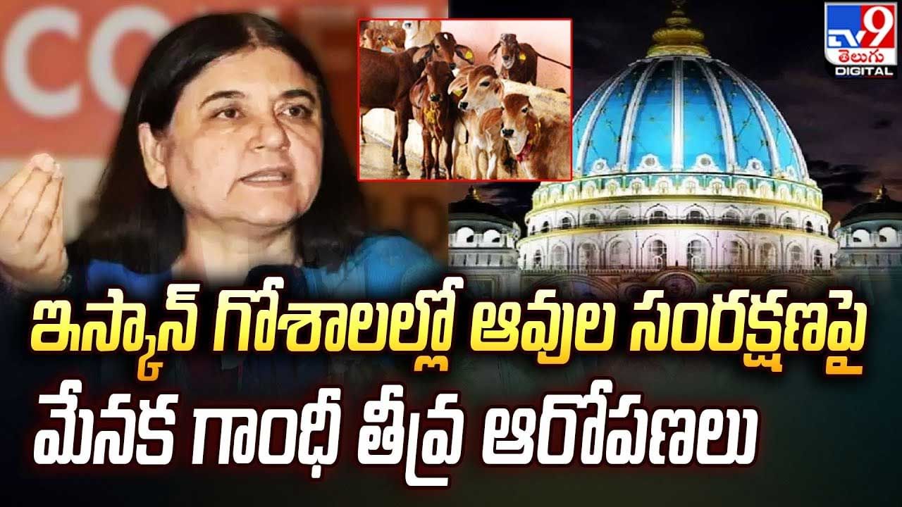 Iskcon: ఇస్కాన్⁬  గోశాలల్లో ఆవుల్ని కబేళాలకు అమ్మేస్తున్నారన్న మాజీ కేంద్ర మంత్రి మేనక గాంధీ.