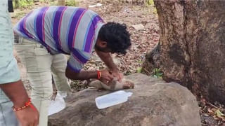 సీఎం కేసీఆర్‌కు వైరల్ ఫివర్.. వైద్యుల పర్యవేక్షణలో చికిత్స