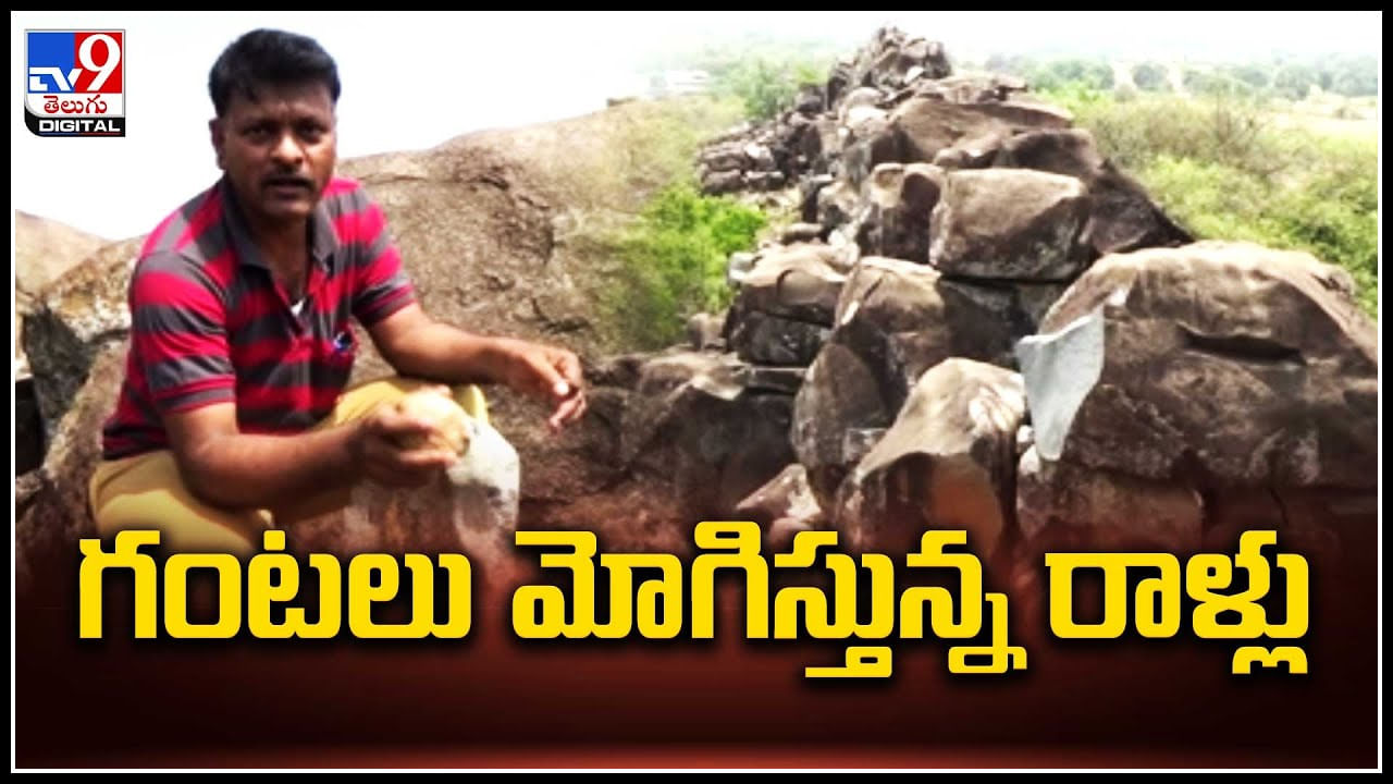 Rocks Music: గంటలు మోగిస్తున్న రాళ్లు.. ఒక్కోరాయినుంచి ఒక్కోరకమైన ధ్వని.. వీడియో.