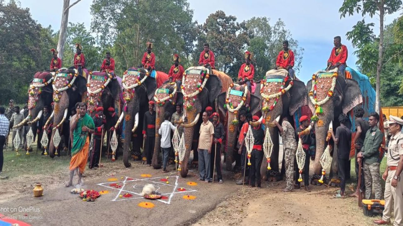 
మంగళవారం మధ్యాహ్నం 12.01 గంటలకు కెప్టెన్ అభిమన్యు నేతృత్వంలో 9 ఏనుగులు ప్యాలెస్‌కు చేరుకున్నాయి. అనంతరం అభిజిన్ లగ్నంలో రాజభవనంలోని జయమార్తాండ ద్వారం వద్ద ఏనుగులకు సంప్రదాయ పూజా కార్యక్రమాలు నిర్వహించారు.