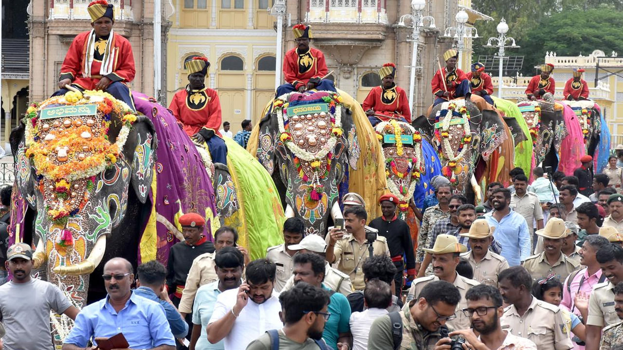 ఈసారి మైసూరు దసరా జంబూ సవారీలో 14 ఏనుగులు పాల్గొననున్నాయి. కెప్టెన్ అభిమన్యు ఈసారి కూడా అంబారీ మోయబోతున్నాడు. ఈ అభిమన్యుడికి దసరా ఉత్సవాల్లో జంబూసవారిలో 22 ఏళ్ల అనుభవం ఉంది. అంబారీ ఊరేగింపులో జంబో ప్రధాన పాత్రను పోషించనున్నారు. 