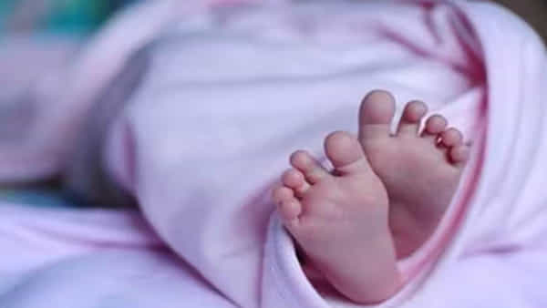 Telangana: మాతృత్వానికే అవమానం!.. అప్పుడే పుట్టిన శిశువుని ముళ్లపొదల్లో విసిరేసిన తల్లి.. ఆడపిల్ల కనుకే ఇలా చేసి ఉంటారని అనుమానం..