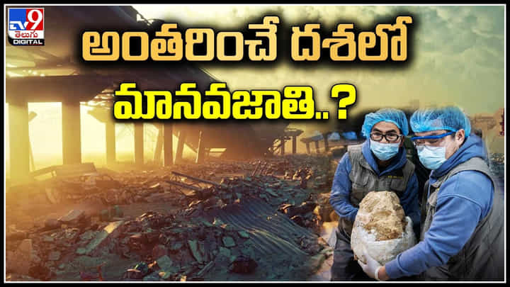 Human Extinction: పది లక్షల సంవత్సరాల క్రితం అంతరించే దశకు మానవజాతి.. Human Extinction: పది లక్షల సంవత్సరాల క్రితం అంతరించే దశకు మానవజాతి..