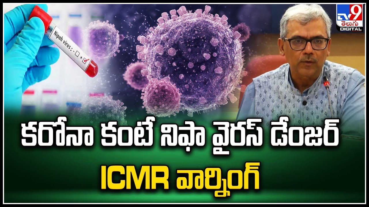 Nifa Virus: కరోనా కంటే నిఫా వైరస్ డేంజర్.. ICMR వార్నింగ్. Nifa Virus: కరోనా కంటే నిఫా వైరస్ డేంజర్.. ICMR వార్నింగ్.