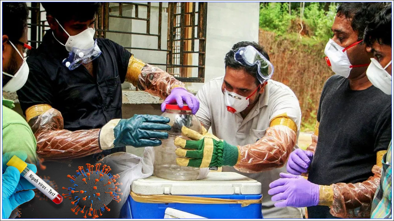 Nipah Virus: కేరళలో మరో నిపా వైరస్ కేసు నమోదు.. ఎందుకు వ్యాపిస్తోంది.. ఐసీఎంఆర్ ఏం చెబుతోంది!