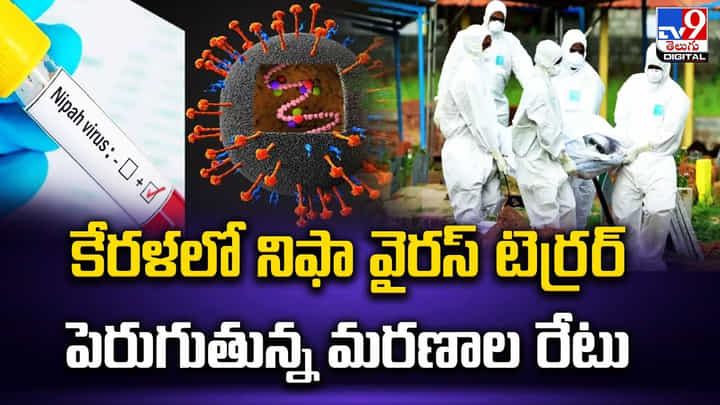కేరళలో నిఫా వైరస్ టెర్రర్ !! నిఫా ప్రాణాంతక వ్యాధి అంటున్న ఐసీఎంఆర్ కేరళలో నిఫా వైరస్ టెర్రర్ !! నిఫా ప్రాణాంతక వ్యాధి అంటున్న ఐసీఎంఆర్