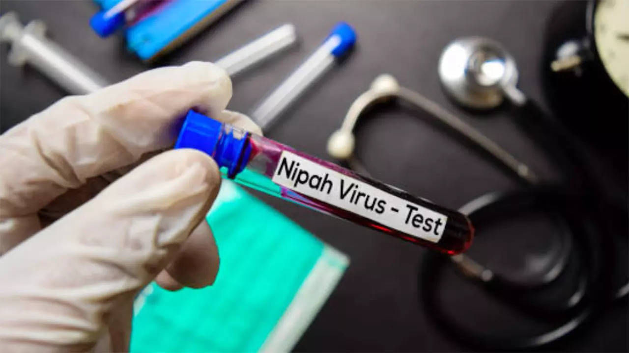 Nipah Virus In Children: తరుముకొస్తున్న నిఫా వైరస్.. మీ పిల్లలను రక్షించుకోండిలా!!
