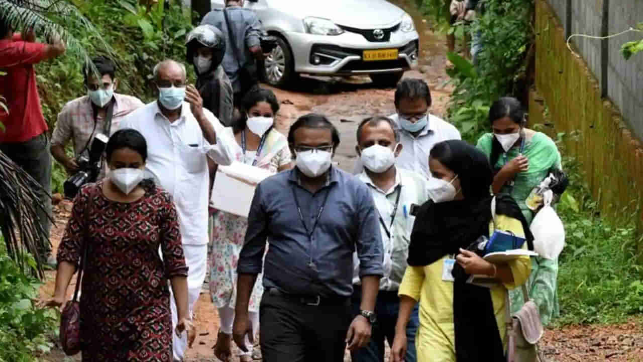 Nipah Virus: హమ్మయ్యా.. అదుపులోకి వచ్చిన నిఫా వైరస్.. ఆంక్షలు సడలింపు