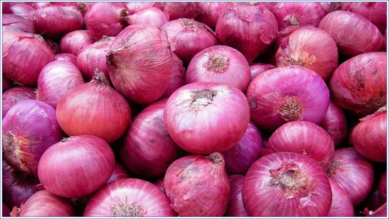 Onion Export Duty: ఈ రకం ఉల్లిపై ప్రభుత్వం ఎగుమతి సుంకాన్ని తొలగించింది.. ధరలు తగ్గుతాయా?