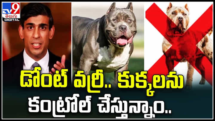 PM Rushi Sunak: డోంట్ వర్రీ.. బ్రిటన్లో కుక్కలను కంట్రోల్ చేస్తున్నాం.: రుషి సునక్. PM Rushi Sunak: డోంట్ వర్రీ.. బ్రిటన్లో కుక్కలను కంట్రోల్ చేస్తున్నాం.: రుషి సునక్.