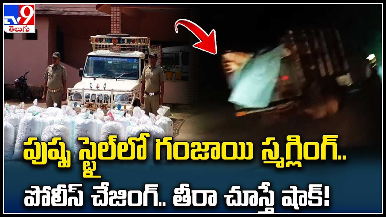 Marijuana Smuggling: పుష్ప స్టైల్‌లో గంజాయి స్మగ్లింగ్.. పోలీస్ చేజింగ్.. తీరా చూస్తే షాక్..!