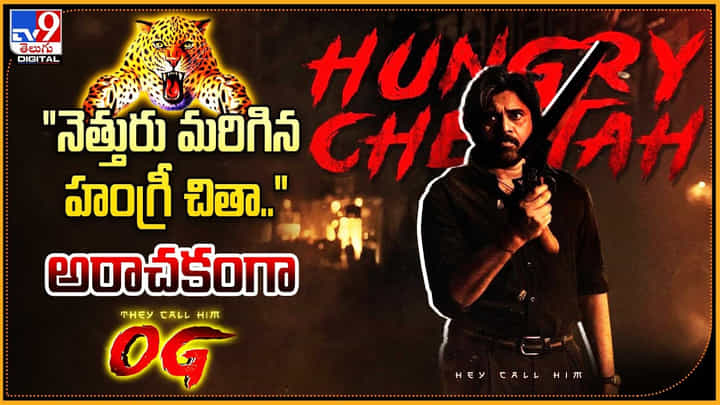 OG Glimpse: నెత్తురు మరిగిన హంగ్రీ చితా.. దిమ్మతిరిగేలా చేస్తున్న OG.. వీడియో. OG Glimpse: నెత్తురు మరిగిన హంగ్రీ చితా.. దిమ్మతిరిగేలా చేస్తున్న OG.. వీడియో.