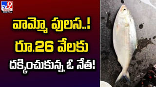 Love Marriage: ఆంధ్రా అబ్బాయి.. తైవాన్ అమ్మాయి… వెంకన్న సన్నిధిలో పెళ్లి