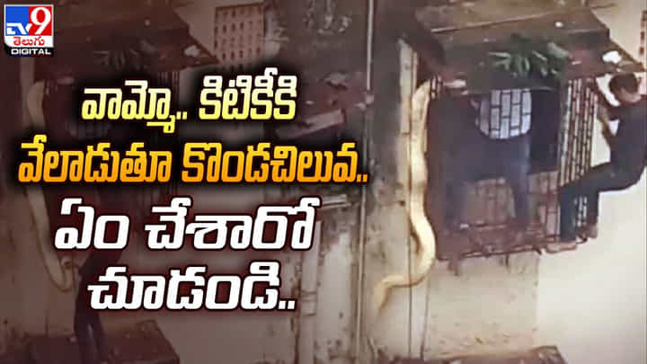 వామ్మో.. కిటికీకి వేలాడుతూ కొండచిలువ.. ఏం చేశారో చూడండి వామ్మో.. కిటికీకి వేలాడుతూ కొండచిలువ.. ఏం చేశారో చూడండి