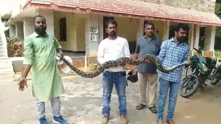బాబోయ్ 10 అడుగులు కొండచిలువ.. ఏకంగా ఇంట్లోకి వచ్చింది.. ఏం చేశారంటే..? బాబోయ్ 10 అడుగులు కొండచిలువ.. ఏకంగా ఇంట్లోకి వచ్చింది.. ఏం చేశారంటే..?