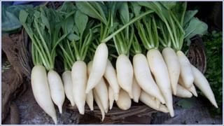 Mental Health: మీ మనసు అదుపు తప్పుతోందా..? ఇలా  చేయండి..!