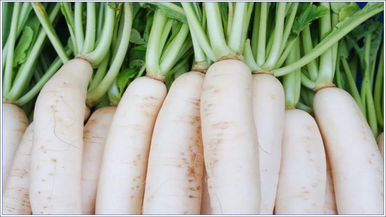 మీరు కామెర్లు సమస్య నుండి బయటపడాలంటే ముల్లంగి చాలా ఉపయోగకరంగా ఉంటుంది. దీని కోసం, ముల్లంగి తాజా ఆకులను మెత్తగా, అలాగే దానిలో పేస్ట్ చేయండి. తర్వాత పాలలో వేసి మరిగించాలి. నురుగు రాగానే మరిగించి తాగాలి. ముల్లంగిని ఎప్పుడూ చేపలతో కలిపి తినకూడదు.