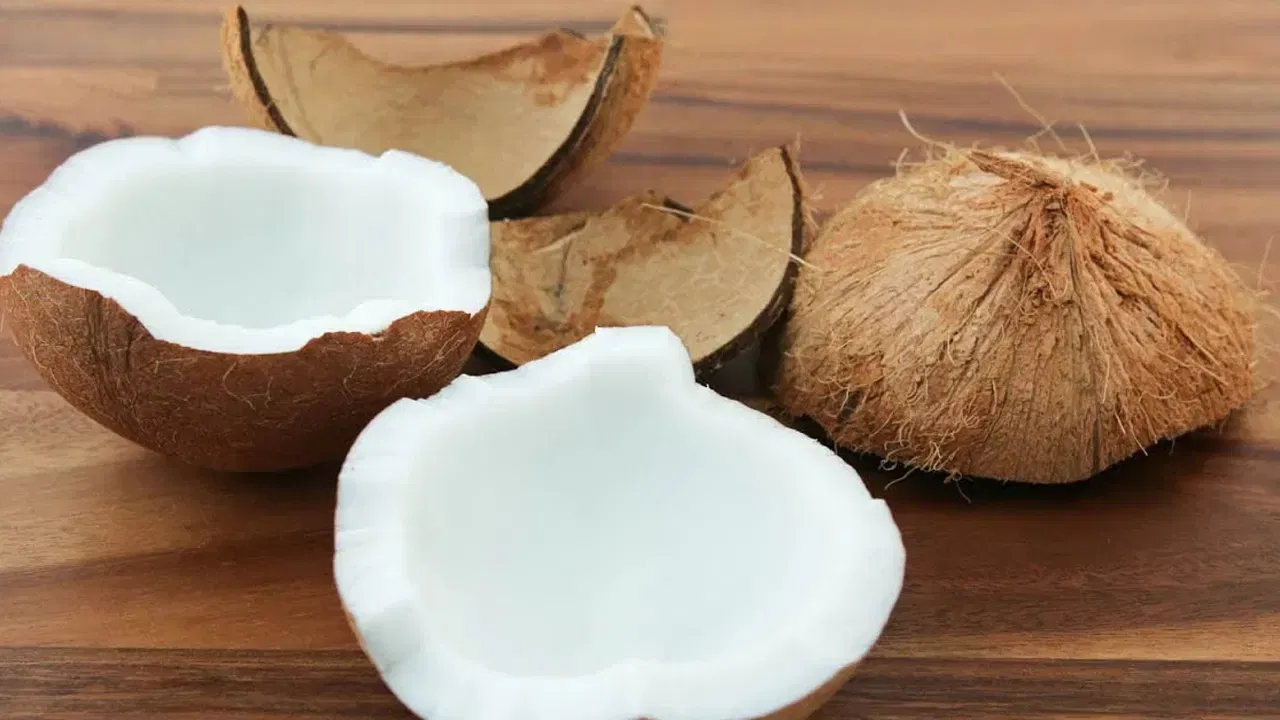 Fresh coconut. Кокос. Кокос орех. Кокосовая мякоть. Кокос очищенный.