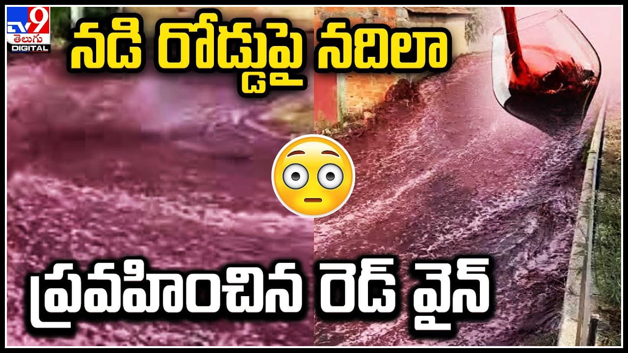 Red Wine వీధుల్లో నదిలా పారిన రెడ్‌ వైన్‌..! స్విమ్మింగ్‌ పూల్‌ని