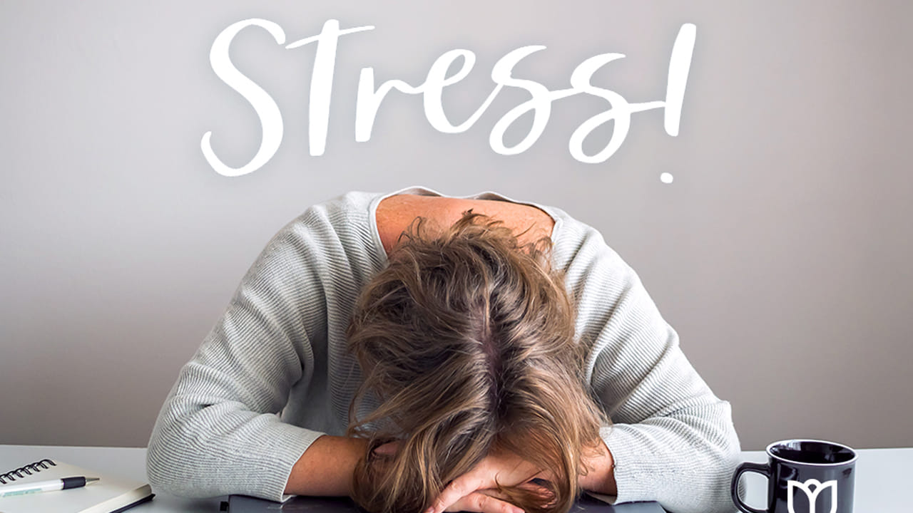 సామాజిక సంబంధాలను మెరుగుపరుస్తాయి: ఇతరులతో కలిసి భోజనం చేయడం అనేది ఒత్తిడిని తగ్గించడానికి, ఆత్మగౌరవాన్ని పెంచడానికి, సామాజిక బంధాన్ని మెరుగుపరచడానికి సహాయపడుతుంది. ముఖ్యంగా పిల్లలకు ఇది ఉత్తమమైన మార్గం.. స్నేహితులు, కుటుంబం, సహోద్యోగులు, పొరుగువారితో కనెక్ట్ అవ్వడం వల్ల ఒత్తిడి తగ్గుతుంది. ఈ సర్వేలో 67 శాతం మంది కలిసి భోజనం చేయడం వల్ల ఇతరులతో కనెక్ట్ అవ్వాల్సిన అవసరం ఉందని చెప్పారు.