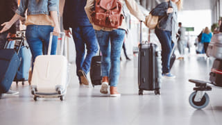 Telangana Heavy Rain: ఉమ్మడి ఆదిలాబాద్ జిల్లాలో పిడుగుల వర్షం.. ముగ్గురు మృతి , 30 వేల ఆస్తి నష్టం..