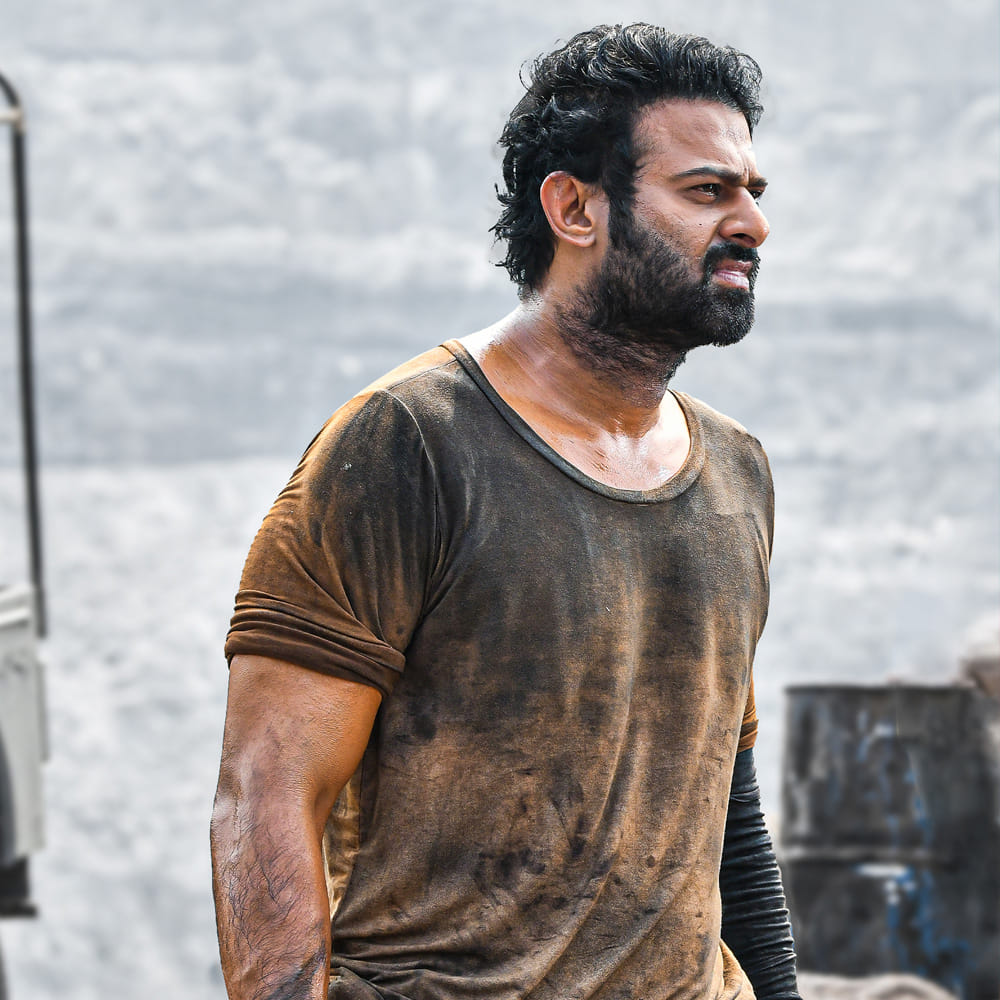 మంచీ చెడు కాదు... గెలిచిన వాడే హీరో అన్నదే ప్రస్తుతం మన సినిమా కథల్లో కనిపిస్తున్న కొత్త ట్రెండ్‌. హీరోయిజాన్ని మరో లెవల్‌లో ఎలివేట్‌ చేసేందుకు సలార్‌ లాంటి రా అండ్ రస్టిక్‌ సబ్జెక్ట్స్‌ను ఎంచుకుంటున్నారు మేకర్స్‌. ఆడియన్స్‌ కూడా అలాంటి కథలతోనే ఎక్కువగా కనెక్ట్ అవుతున్నారు. కాసుల పంట పండిస్తున్నారు.