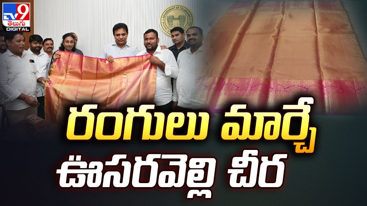 రంగులు మార్చే ఊసరవెల్లి చీర !! తయారీకి  రూ. 2.8 లక్షలు ఖర్చు