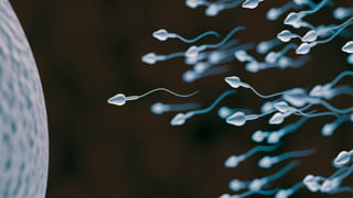 Diabetes: రాత్రిపూట మెలకువగా ఉండే వారికి మధుమేహం వచ్చే ప్రమాదం ఎక్కువ.. పరిశోధనలో కీలక అంశాలు