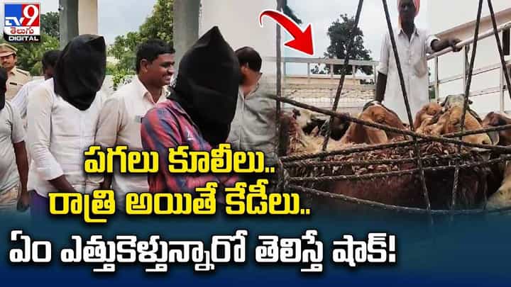 పగలు కూలీలు.. రాత్రి అయితే కేడీలు.. ఏం ఎత్తుకెళ్తున్నారో తెలిస్తే షాక్ పగలు కూలీలు.. రాత్రి అయితే కేడీలు.. ఏం ఎత్తుకెళ్తున్నారో తెలిస్తే షాక్