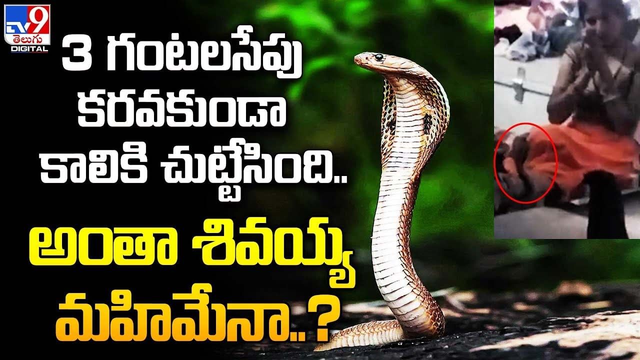 మూడు గంటలపాటు కాలుపైనే పాము !! ఆ మహిళ ఏంచేసిందంటే ?? Telugu News