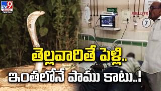 Viral Video: ఓ చిన్నారి ప్రాణాలను కాపాడేందుకు ‘స్పైడర్ మ్యాన్’గా మారిన యువకుడు.. షాకింగ్ వీడియో వైరల్