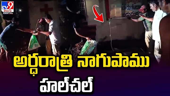 అర్ధరాత్రి ఇంటి ప్రాంగణంలో నాగుపాము హల్చల్ !! చివరికి ?? అర్ధరాత్రి ఇంటి ప్రాంగణంలో నాగుపాము హల్చల్ !! చివరికి ??
