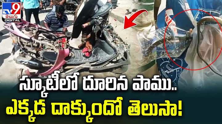 స్కూటీలో దూరిన పాము.. ఎక్కడ దాక్కుందో తెలుసా ?? స్కూటీలో దూరిన పాము.. ఎక్కడ దాక్కుందో తెలుసా ??