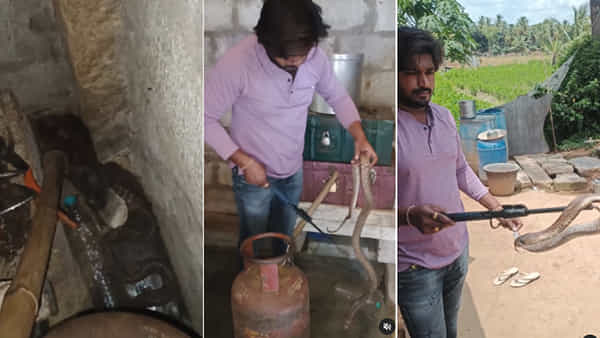 Viral Video: ఇంట్లో నక్కిన నాగుపాముని ఒట్టి చేతులతో పట్టి బంధించిన యువకుడు.. షాకింగ్ వీడియో వైరల్..