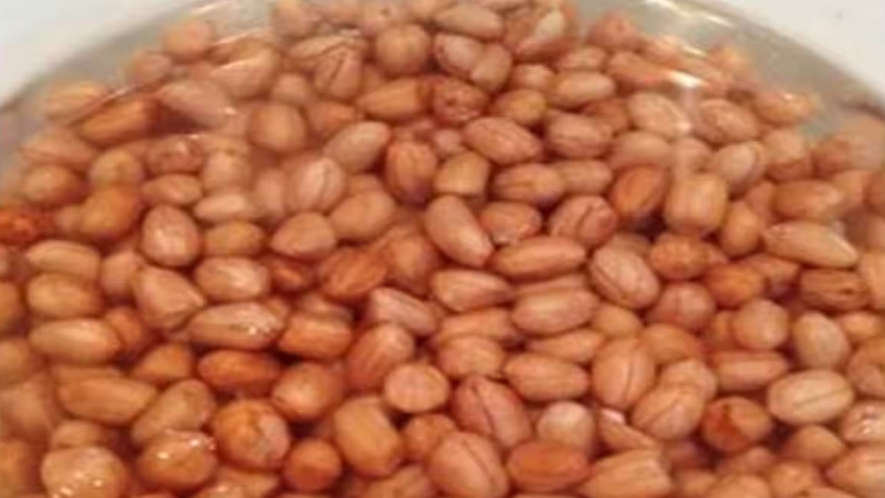 Soaked Peanuts ప్రతి రోజు ఉదయం నానబెట్టిన వేరుశెనగలు తినండి.. ఆ