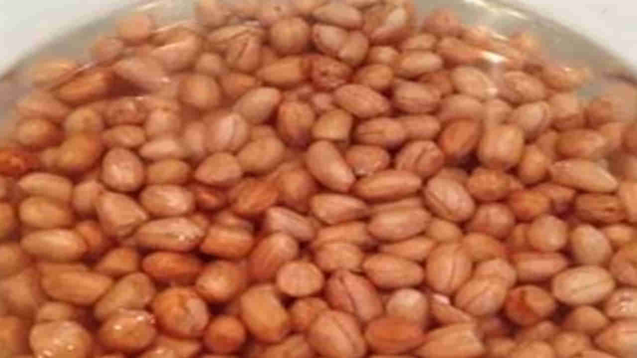 Soaked Peanuts: ప్రతి రోజు ఉదయం నానబెట్టిన వేరుశెనగలు తినండి.. ఆ సమస్యకు చెక్ పెట్టండి