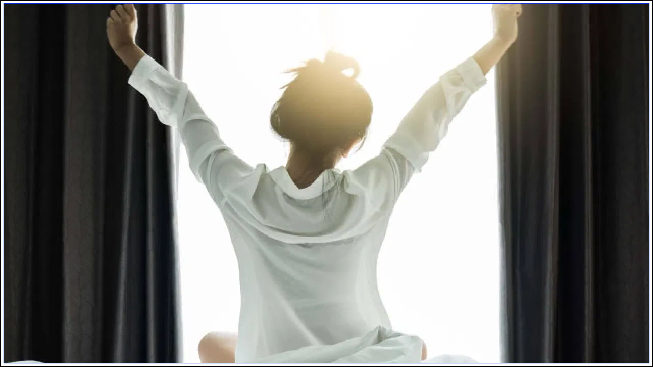 ఉదయాన్నే నిద్ర లేవగానే మనసు ఉల్లాసంగా ఉంటుంది. త్వరగా మేల్కొనడం వల్ల మీ మానసిక ఆరోగ్యం అద్భుతంగా ఉంటుంది. ఉదయం పూట చాలా పాజిటివ్ ఎనర్జీ ఉంటుందని చెబుతారు. చిన్నతనంలో కూడా పొద్దున్నే లేచి చదువుకోమని చెప్పేవారు. ఉదయం సమయం తాజాగా ఉంటుంది.