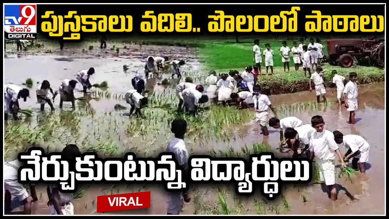 Students in farm: పుస్తకాలు వదిలి.. పొలంలో పాఠాలు నేర్చుకుంటున్న విద్యార్ధులు