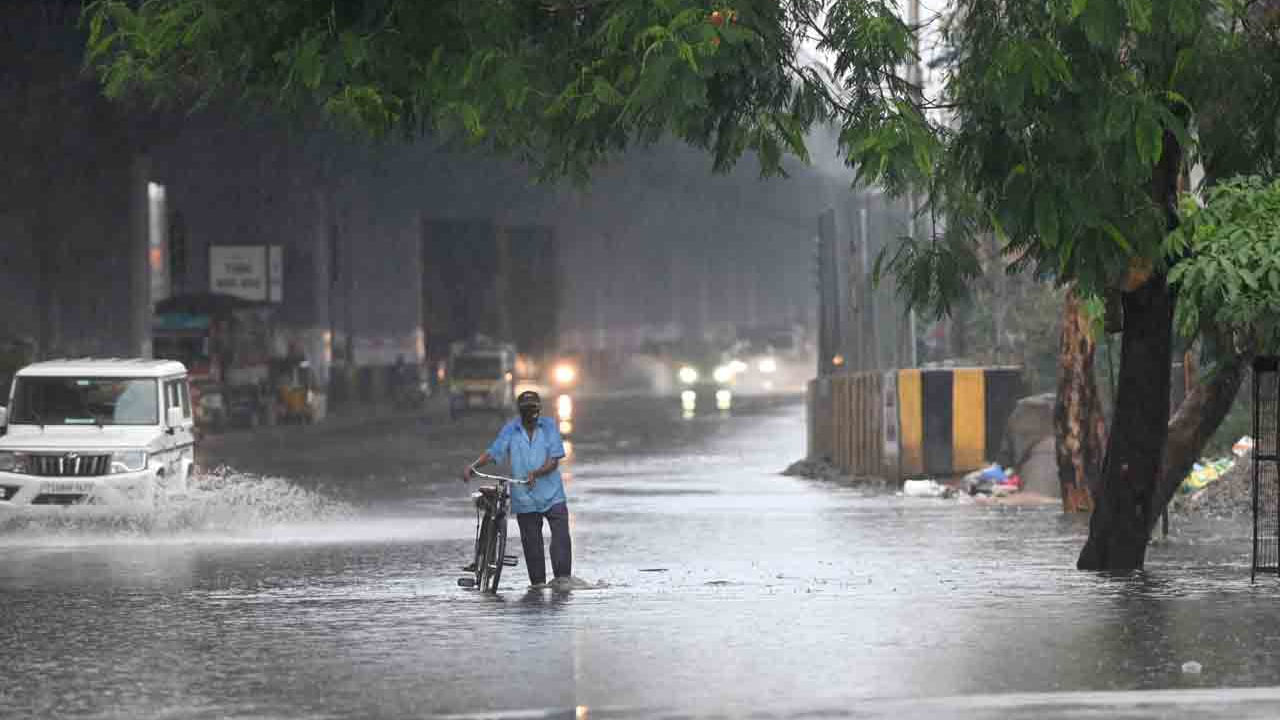 గ్రీన్‌ అలర్ట్‌ - ఆదిలాబాద్‌, నిర్మల్‌, జగిత్యాల, నిజామాబాద్‌, సిరిసిల్ల, కామారెడ్డి, సిద్దిపేట, మెదక్‌, సంగారెడ్డి, హన్మకొండ, వరంగల్‌, మహబూబాబాద్‌, జనగాం, మేడ్చల్‌, హైదరాబాద్‌, యాదాద్రి, సూర్యాపేట, నల్గొండ, రంగారెడ్డి, వికారాబాద్‌, మహబూబ్‌నగర్‌, నారాయణపేట్‌, వనపర్తి, గద్వాల, నాగర్‌కర్నూల్‌