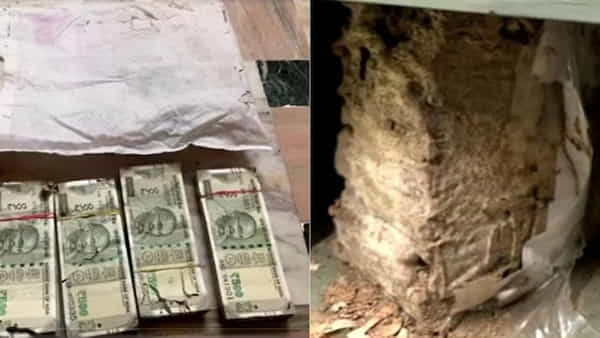Viral News: కూతురి పెళ్లి కోసం బ్యాంక్ లాకర్లో పెట్టిన రూ.18లక్షల నగదు, నగలు చెదల పాలు.. ఆ తర్వాత ఏం జరిగింది..?
