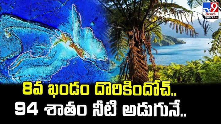 8th Continent: 375 ఏళ్ల క్రితం కనిపించకుండాపోయిన 8వ ఖండం దొరికిందోచ్..! 8th Continent: 375 ఏళ్ల క్రితం కనిపించకుండాపోయిన 8వ ఖండం దొరికిందోచ్..!