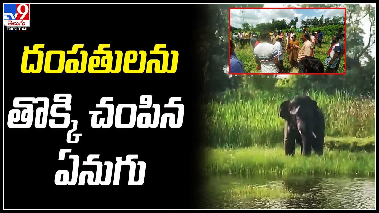 Elephant: చిత్తూరు జిల్లాలో ఏనుగు బీభత్సం.. దంపతులను తొక్కి చంపిన ఏనుగు.