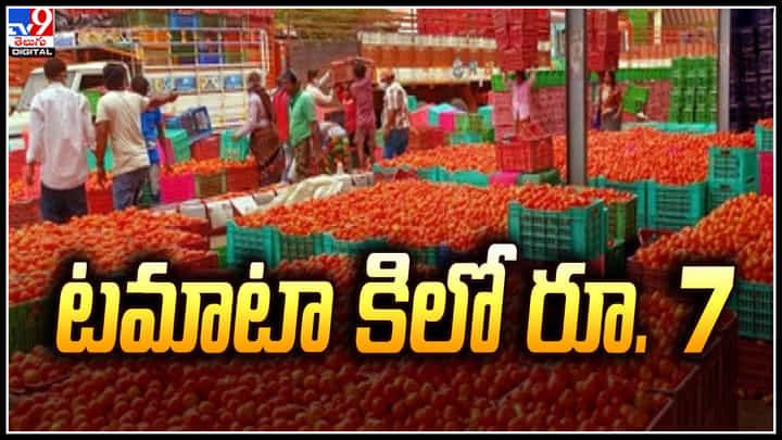 Tomato Price: ఇదేందయ్యా ఇది..! మరింత పతనమైన టమాటా ధర.. కిలో రూ. 7. Tomato Price: ఇదేందయ్యా ఇది..! మరింత పతనమైన టమాటా ధర.. కిలో రూ. 7.