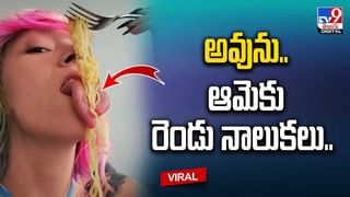 Pythons: కొండచిలువలను గంపలో పెట్టుకెళ్లి.. ఏంచేశారో తెలుసా.?  వీడియో వైరల్