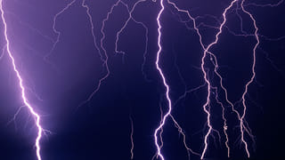 Telangana: మేకను ఎత్తుకెళ్లాడని వేలాడదీసి, కింద నిప్పుపెట్టి కొట్టారు.. మంచిర్యాల జిల్లా మందమర్రిలో దారుణం..