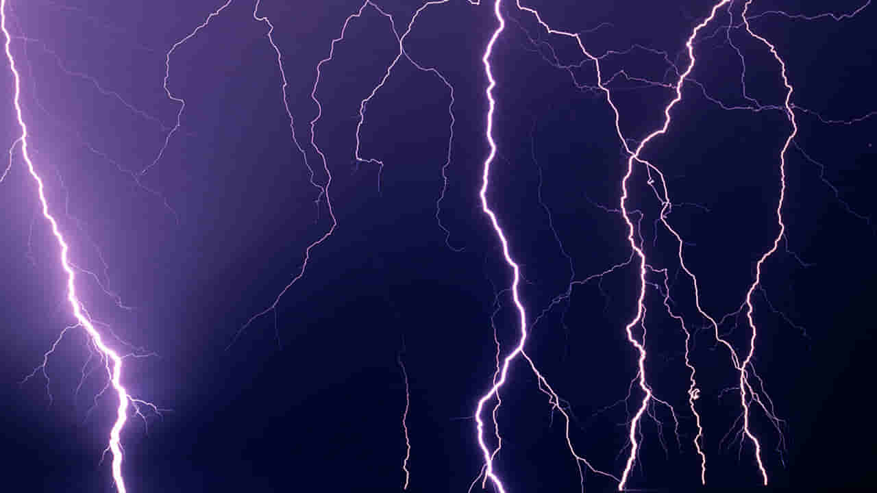 Telangana Heavy Rain: ఉమ్మడి ఆదిలాబాద్ జిల్లాలో పిడుగుల వర్షం.. ముగ్గురు మృతి , 30 వేల ఆస్తి నష్టం..