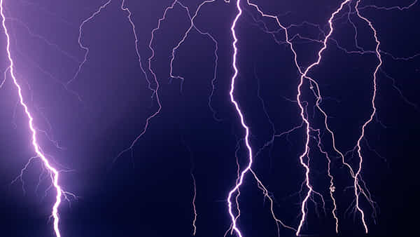 Telangana Heavy Rain: ఉమ్మడి ఆదిలాబాద్ జిల్లాలో పిడుగుల వర్షం.. ముగ్గురు మృతి , 30 వేల ఆస్తి నష్టం..