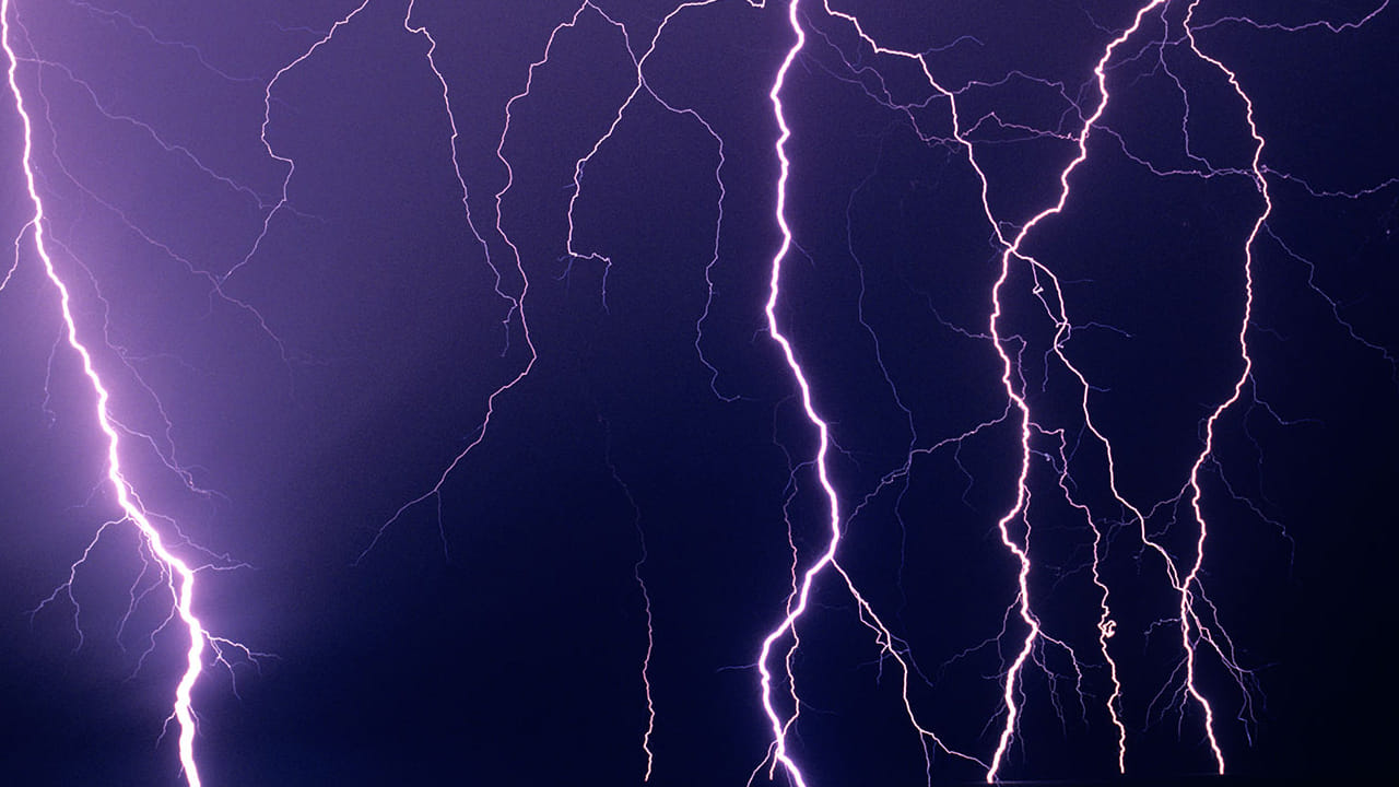 Telangana Heavy Rain: ఉమ్మడి ఆదిలాబాద్ జిల్లాలో పిడుగుల వర్షం.. ముగ్గురు మృతి , 30 వేల ఆస్తి నష్టం..