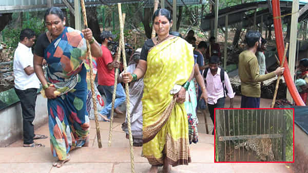 Tirumala: శేషాచలంలో అంతుబట్టని చిరుతల రహస్యం.. కాలినడక మార్గంలో భక్తుల సంఖ్య తగ్గుదల.. ఎన్నాళ్లీ యాతన అంటూ నిరసన..